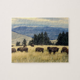 NationalparkBisonflock Pussel