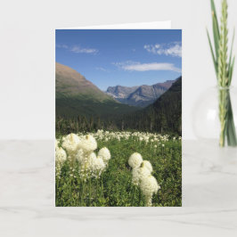 Nationalparken Bear Grass Glacier Kort