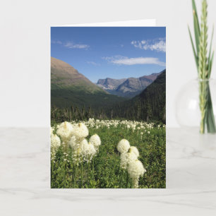 Nationalparken Bear Grass Glacier Kort