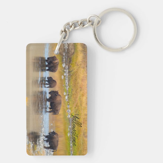 Nationalparken Bison River Crossing Yellowstone (Baksidan)