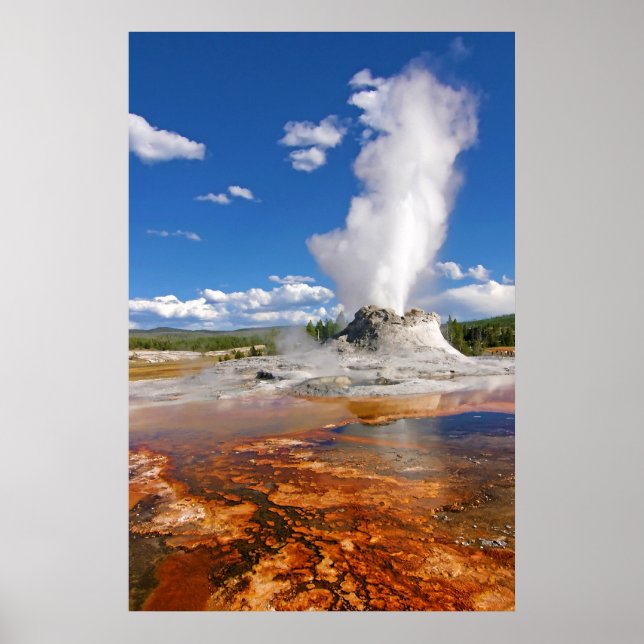nationalparken Castle Geyser Eruption Yellowstone. Poster (Framsidan)