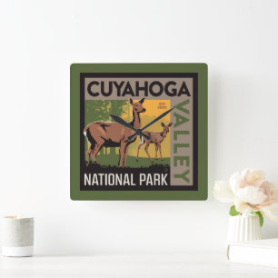 Nationalparken Cuyahoga Valley Ohio Fyrkantig Klocka