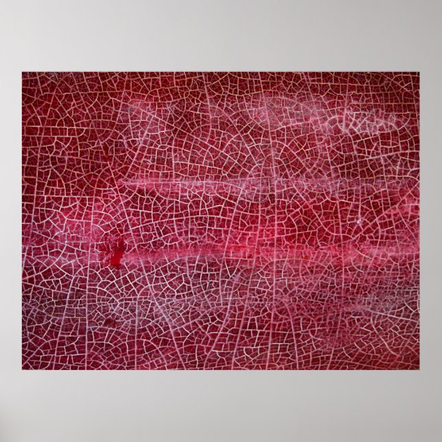 nationalparken Döddaley Poster (Framsidan)