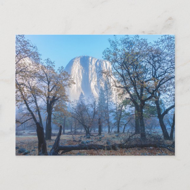 Nationalparken El Capitan Yosemite Vykort (Framsida)