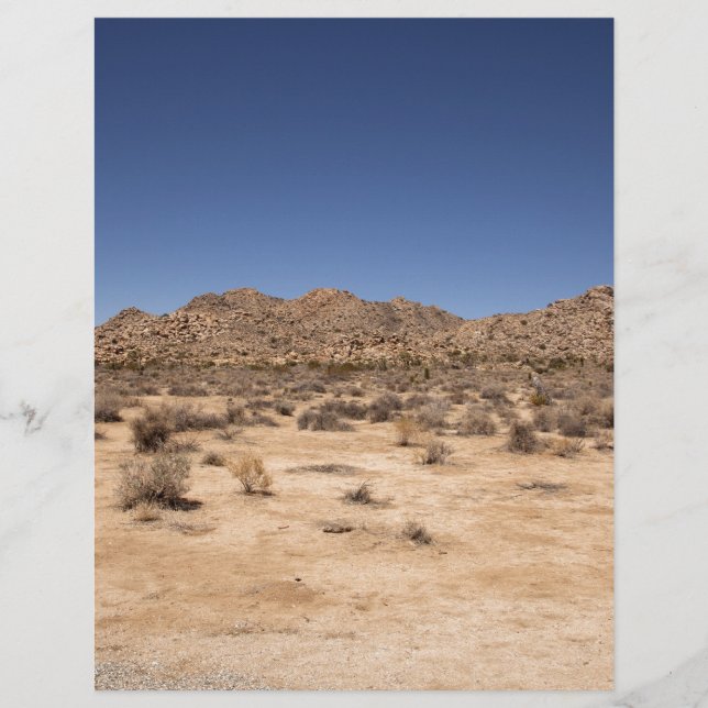 Nationalparken Joshua Träd (Framsida)