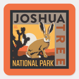 Nationalparken Joshua Träd Jackkanin Fyrkantigt Klistermärke