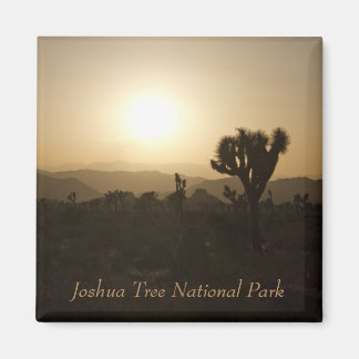 Nationalparken Joshua Träd Magnet