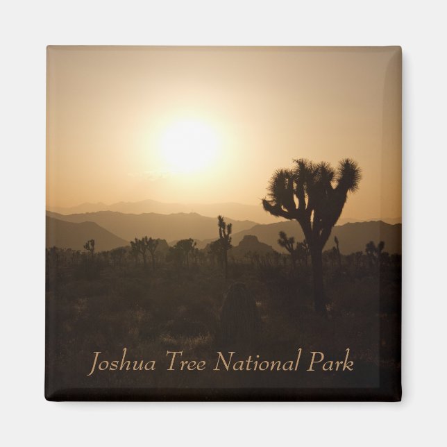 Nationalparken Joshua Träd Magnet (Framsidan)