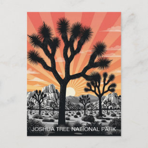 Nationalparken Joshua Träd Vykort