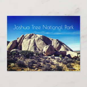Nationalparken Joshua Träd Vykort
