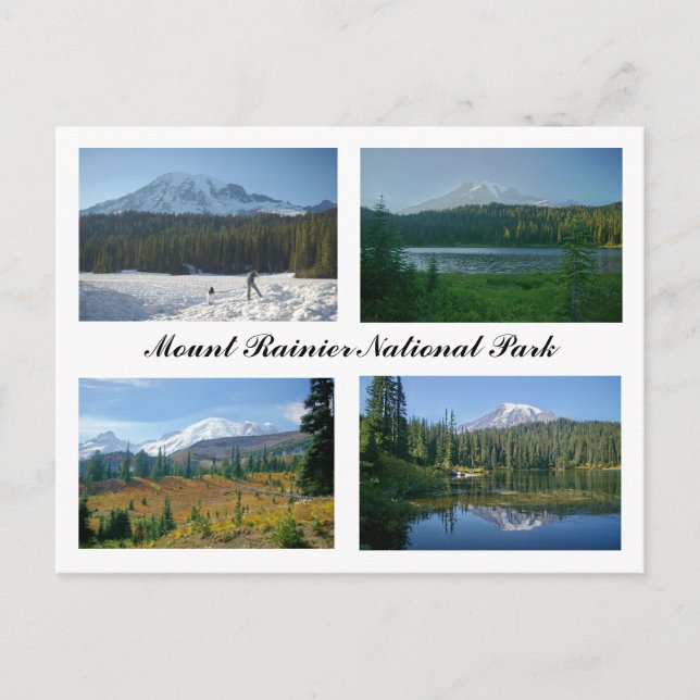 Nationalparken Rainier Vykort (Framsida)