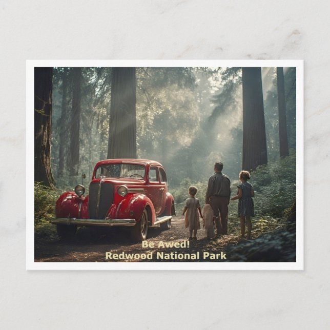 Nationalparken Redwood - BE - Travel Stil Vykort (Framsida)
