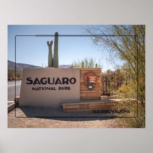 Nationalparken Saguaro - Arizona Desert Poster (Framsidan)