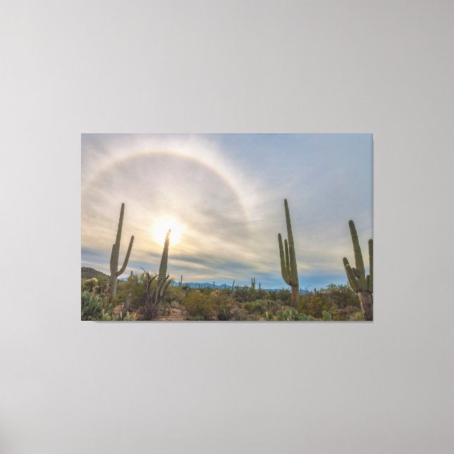 Nationalparken Saguaro Canvastryck (Framsida)