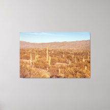 Nationalparken Saguaro