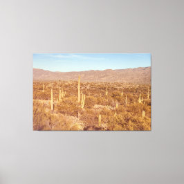 Nationalparken Saguaro Canvastryck