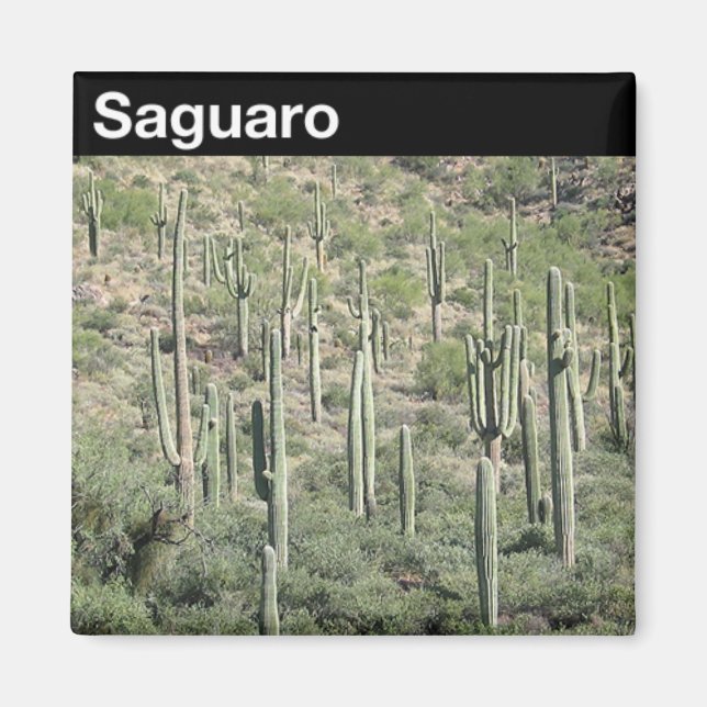 Nationalparken Saguaro Magnet (Framsidan)