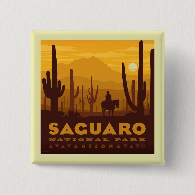 Nationalparken Saguaro Square | Arizona Knapp (Framsida)