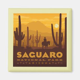 Nationalparken Saguaro Square Arizona Magnet