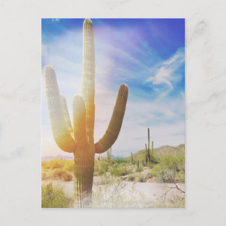 Nationalparken Saguaro Vykort