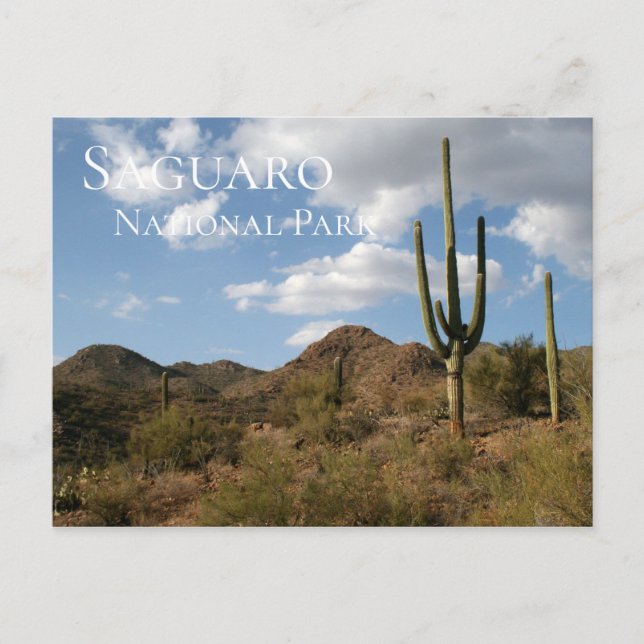 Nationalparken Saguaro Vykort (Framsida)