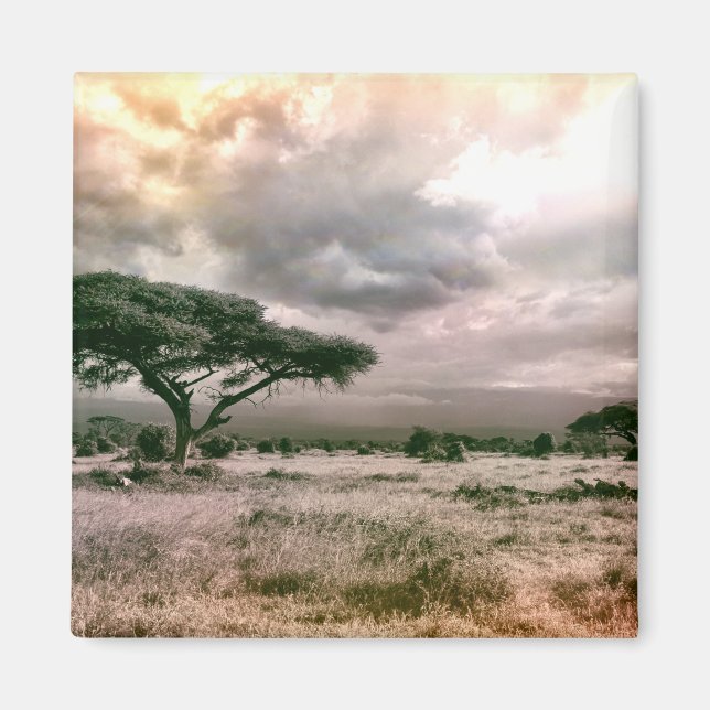 Nationalparken Savannah i Afrika Sahara Serengeti  Magnet (Framsidan)
