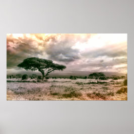 Nationalparken Savannah i Afrika Sahara Serengeti Poster
