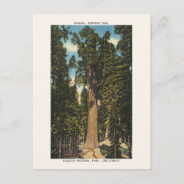 Nationalparken Sequoia, general Sherman Träd Vykort