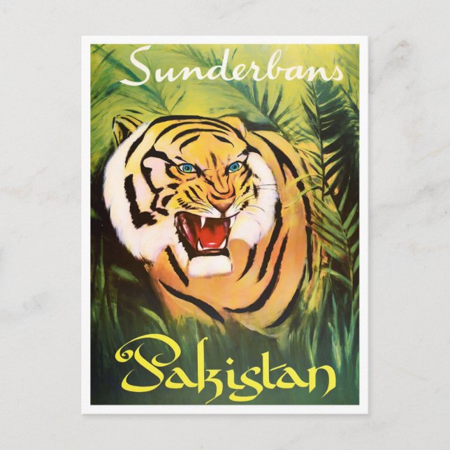 Nationalparken Sunderban Pakistan vintage resor Vykort (Framsida)