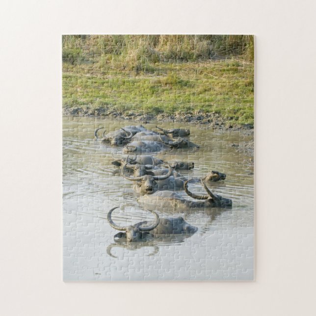 Nationalparken vatten Buffalo Kaziranga. Pussel (Vertikal)