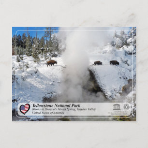 Nationalparken Yellowstone - Dragons mun Vår Vykort