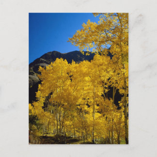 Nationalparker Postkort Vykort