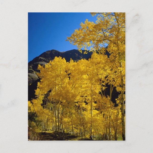 Nationalparker Postkort Vykort (Framsida)