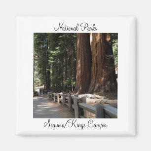 Nationalparker - Sequoia/kungkanjonmagnet Magnet