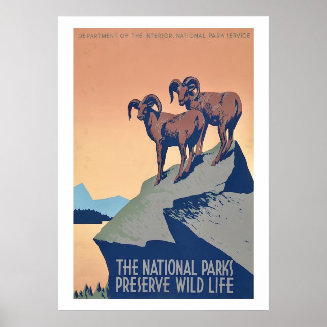 Nationalparker Vildlivsaffisch Poster (Framsidan)