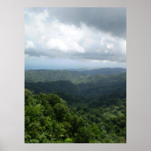 Nationalskog för El Yunque Poster