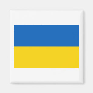 Nationell Flagga i Ukraina Magnet