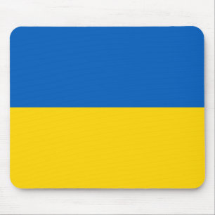 Nationell Flagga i Ukraina Musmatta
