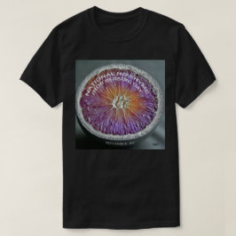 Nationell helgdag (ingen orsak) t shirt