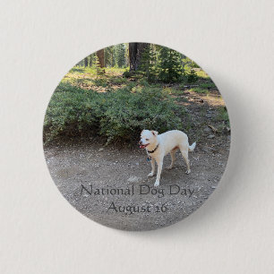 Nationell Hund Dag 26 augusti Knapp