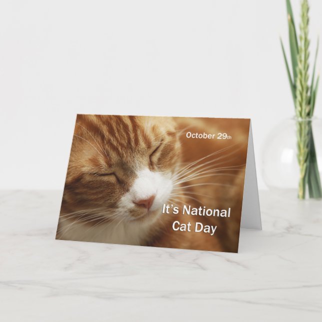 Nationell kattdag 29 oktober kort (Framsida)