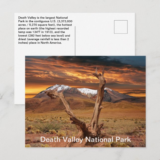 Nationella nationalparksfakta i Dödsdalen Vykort (Fram/baksida)