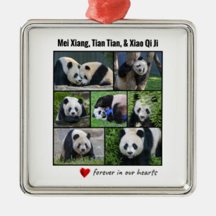 Nationella Zoo Pandas "Forever in our Hearts" Julgransprydnad Metall