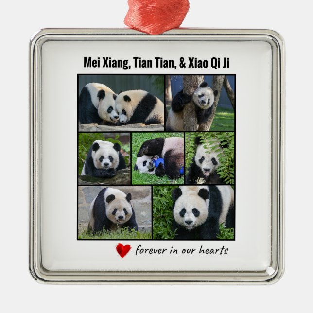 Nationella Zoo Pandas "Forever in our Hearts" Julgransprydnad Metall (Framsidan)