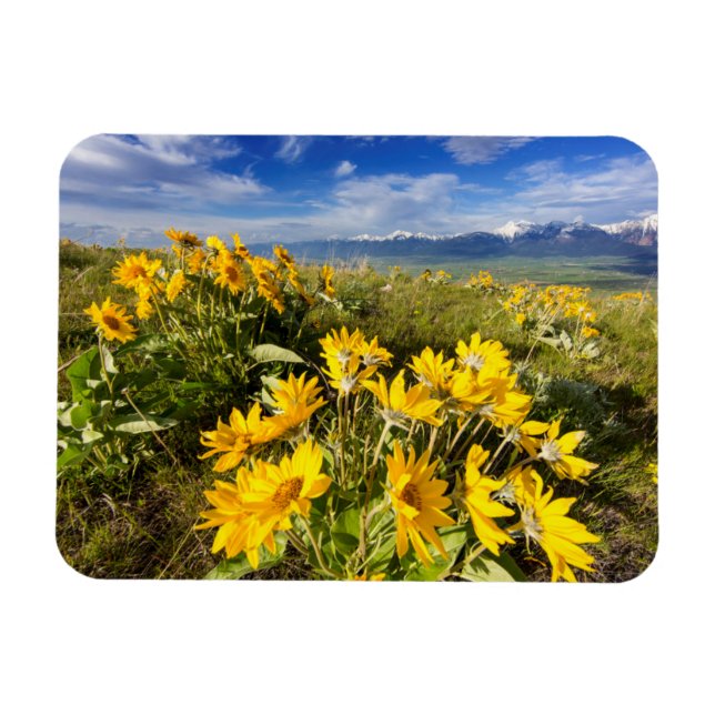 Nationellt bandintervall magnet (Horisontell)