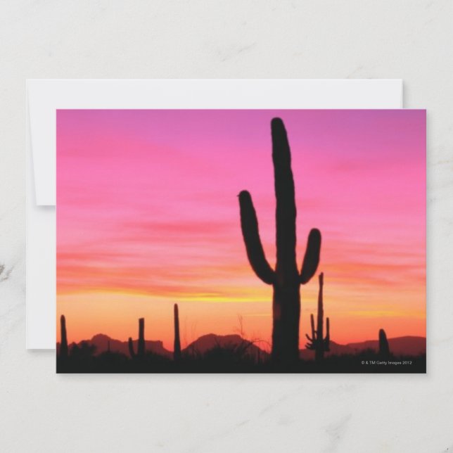 Nationellt monument över organtransplantat (Framsida)