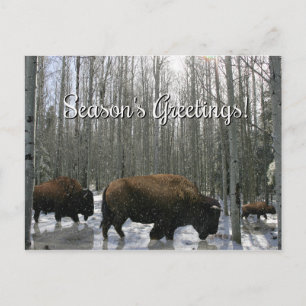 Native American-Bison Välkomstkort för Julen Helg Vykort