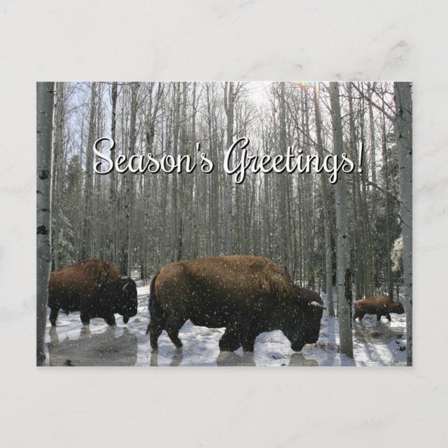 Native American-Bison Välkomstkort för Julen Helg Vykort (Framsida)