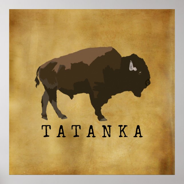 Native American Buffalo | Bison | Tatanka Teckning Poster (Framsidan)