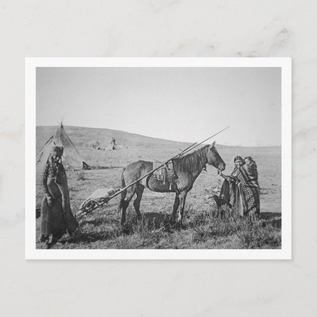 Native American Cree People of Western Canada, c.1 Vykort (Framsida)